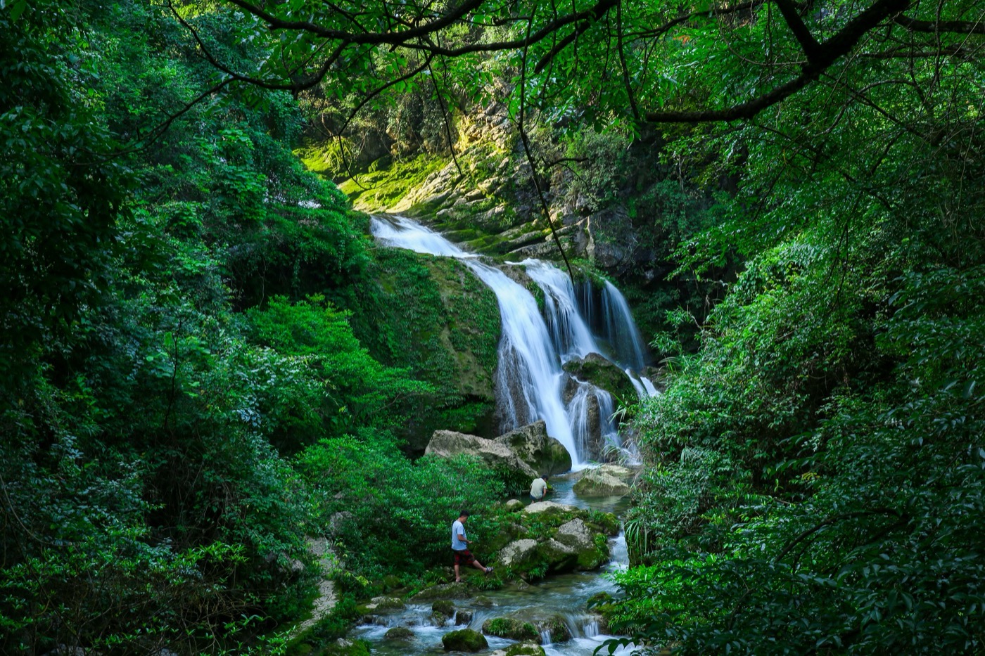 荔波茂兰